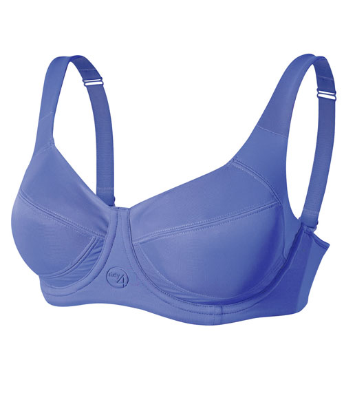 Buy PrettySecrets Minimiser Sports Bra (077835_Grey_34B) at